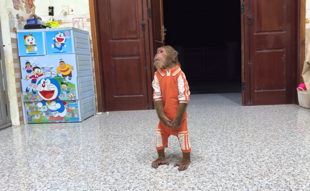 So Heartbreaking CUTIS Cries Runs To Find Pregnant Mom At Midnight Screenshot 2025 07 24 054807